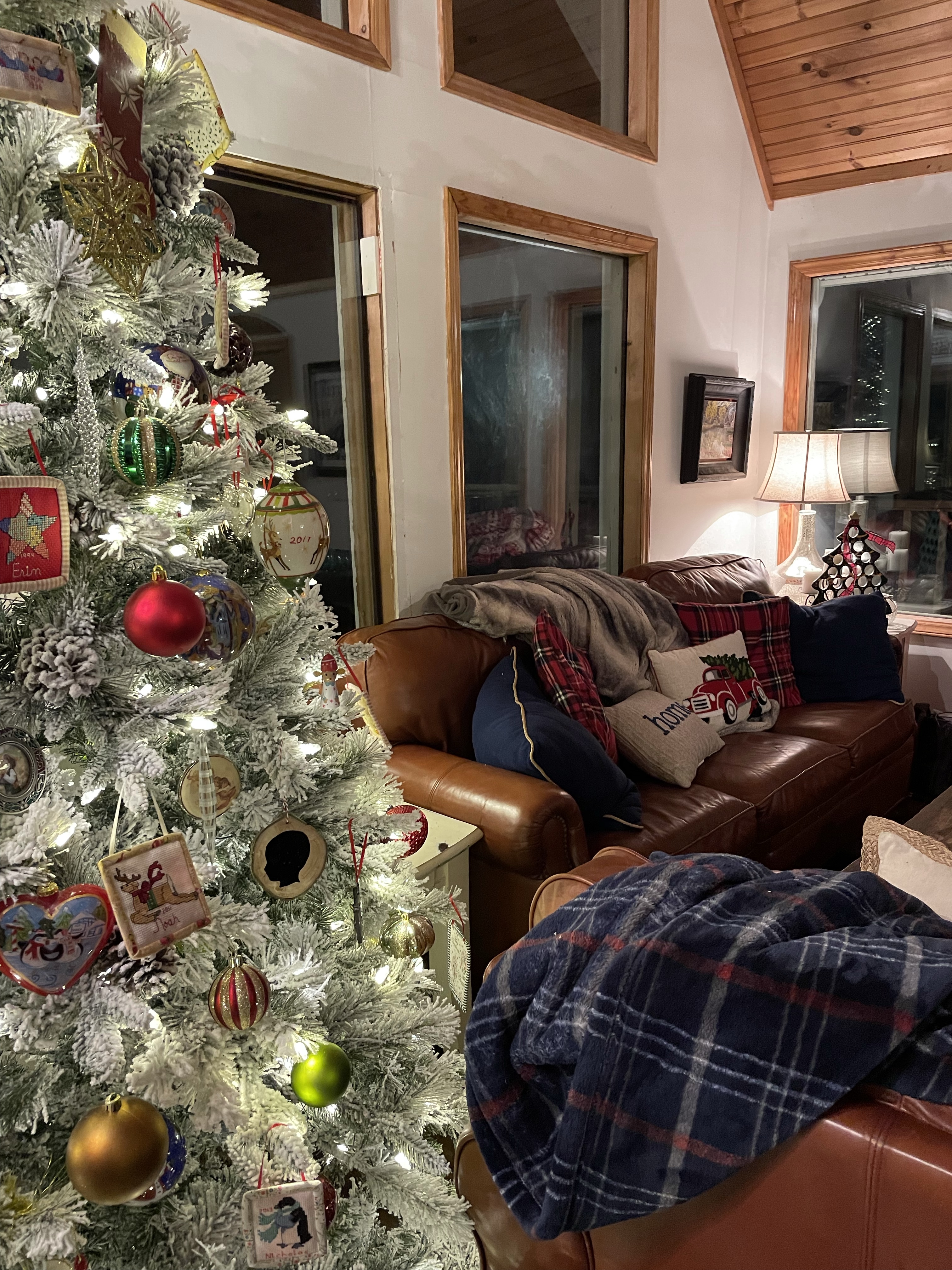 Cozy Christmas
Frosted Christmas Tree
Cabin